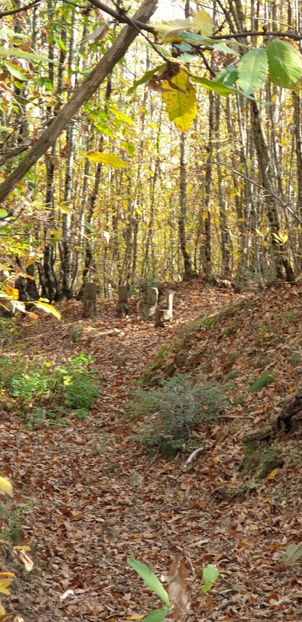 Agriturismo Menghino Nievole Buitenkant foto